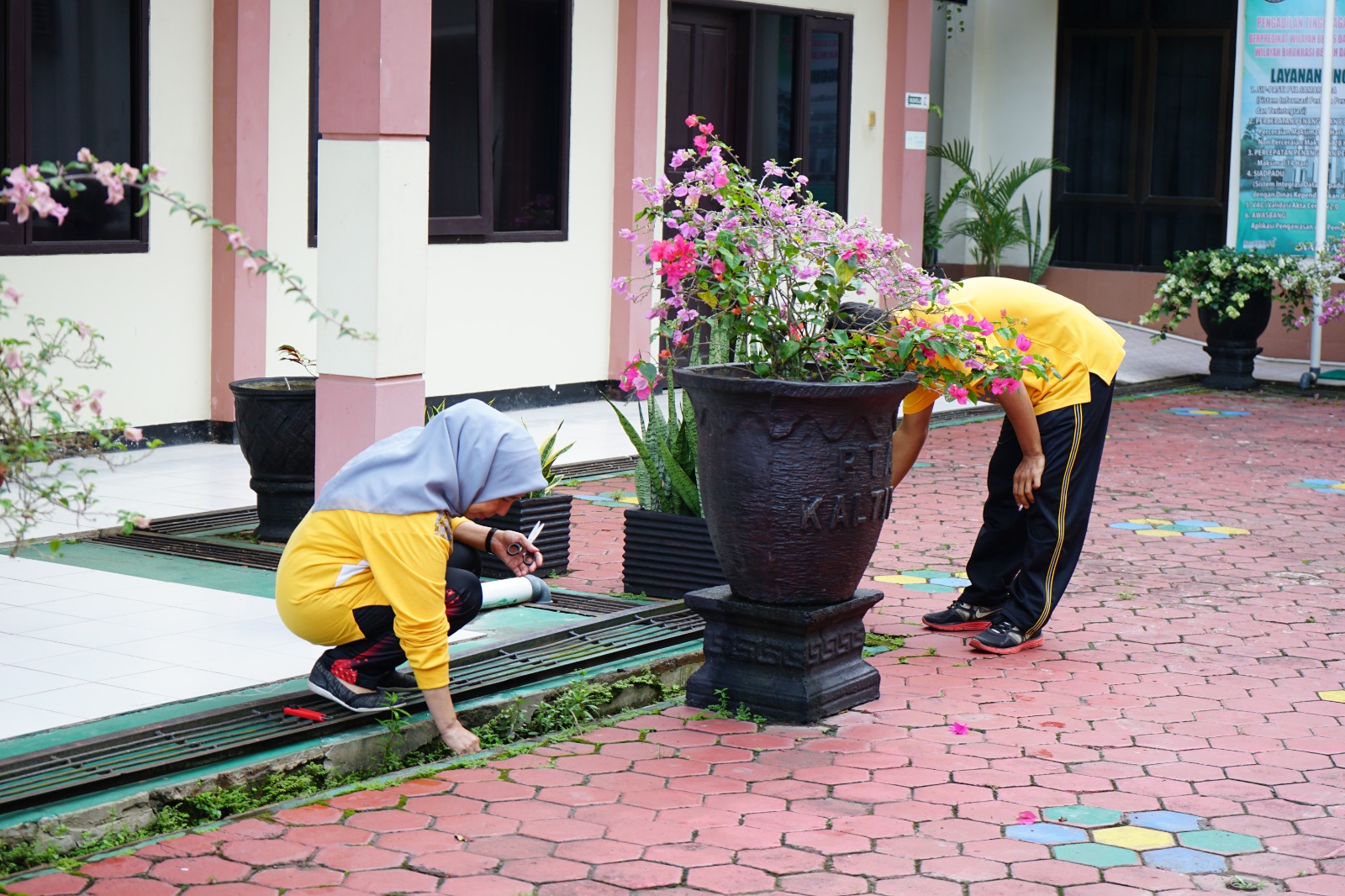 WhatsApp Image 2025 01 31 at 14.02.20