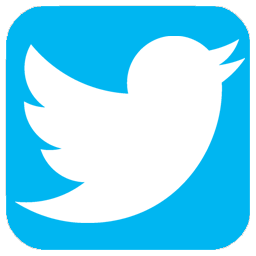 icons8 twitter 48